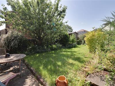 Picture 21